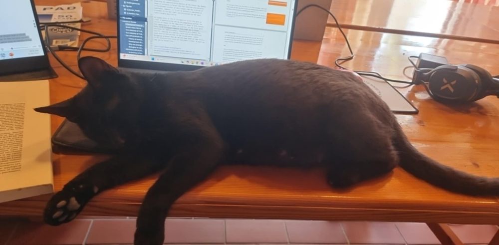 A small black cat is laying on a desk in front of a laptop, preventing the ability to complete any work.