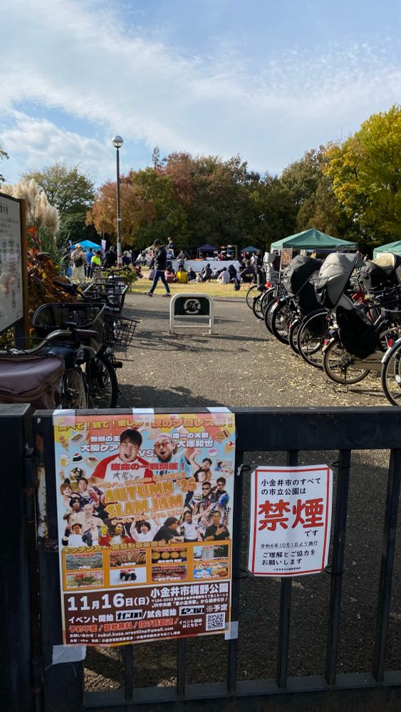 公園に設けられたリングとそれを観てる人たち