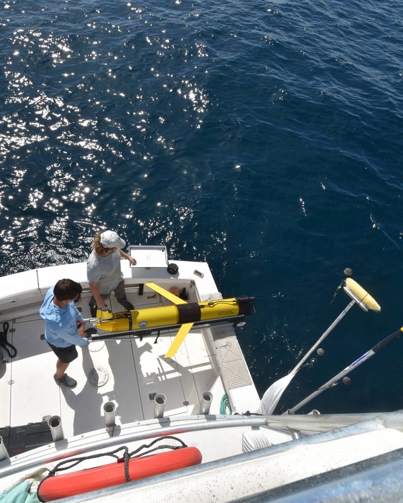 Scientists from the UGA Skidaway Institute of Oceanography deploying an underwater glider equipped with Sea-Bird Scientific sensors.

This glider is part of a larger network of autonomous underwater robots spanning the U.S. and the Caribbean, all working together to improve hurricane prediction models by collecting critical ocean temperature data.