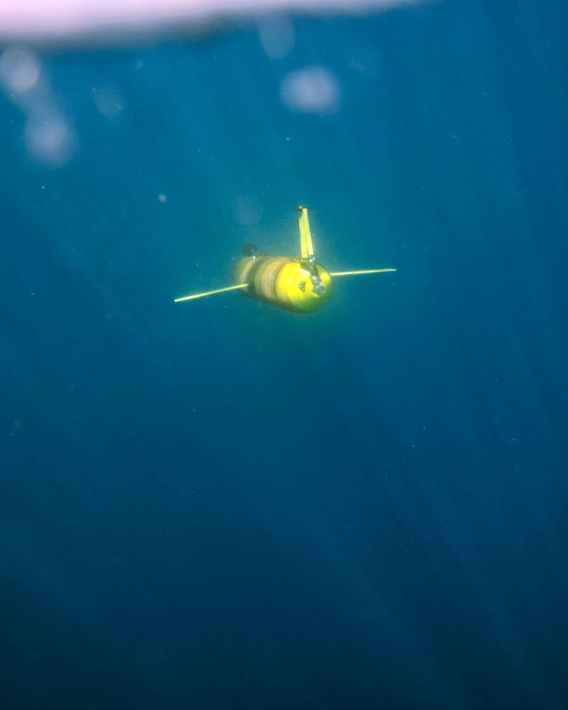 Scientists from the UGA Skidaway Institute of Oceanography deploying an underwater glider equipped with Sea-Bird Scientific sensors.

This glider is part of a larger network of autonomous underwater robots spanning the U.S. and the Caribbean, all working together to improve hurricane prediction models by collecting critical ocean temperature data.