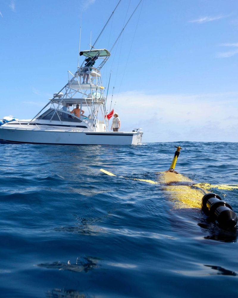 Scientists from the UGA Skidaway Institute of Oceanography deploying an underwater glider equipped with Sea-Bird Scientific sensors.

This glider is part of a larger network of autonomous underwater robots spanning the U.S. and the Caribbean, all working together to improve hurricane prediction models by collecting critical ocean temperature data.