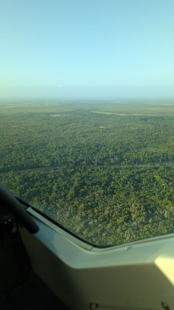 an aerial photograph of the canopy of a central american jungle, a river cutting through it. hazy sky in the distance