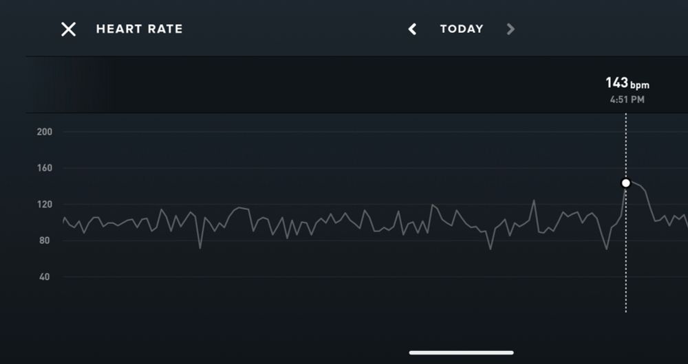 screenshot of the app for a fitness wearable, showing a heart rate log where HR spikes to 143 bpm