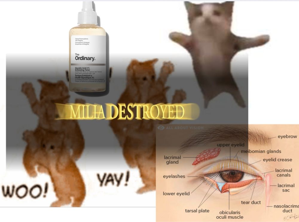 a collage of immages on a white background: cutouts of low resolution kittens with the text "WOO!" "YAY!", a labeled illustration of the parts of the eye with small text not intent to be read in the meme, an image of The Ordinary's glycolic acid toner. overlayed on top is glowing gold text reading "MILIA DESTROYED" with a semi-opaque black gradient behind, referencing dark souls.