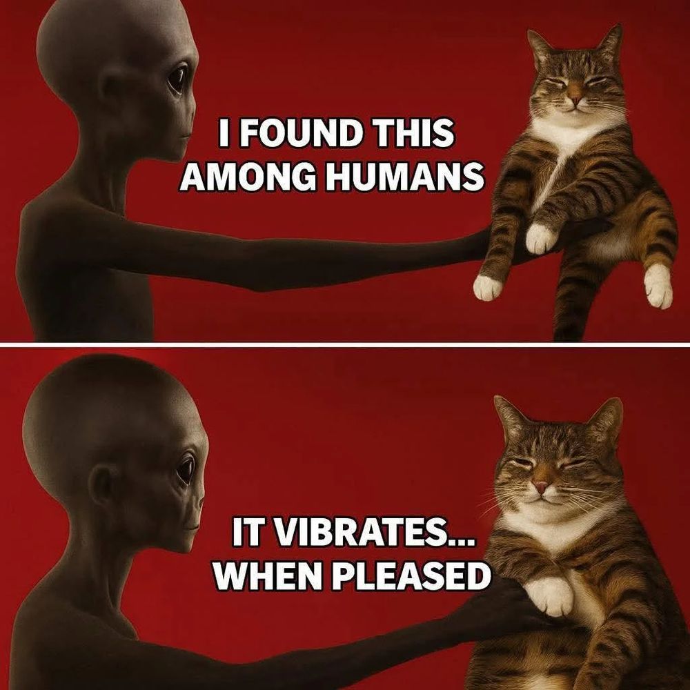 Aliens find a cat

Starfinder is a ttrpg made by Pazio 