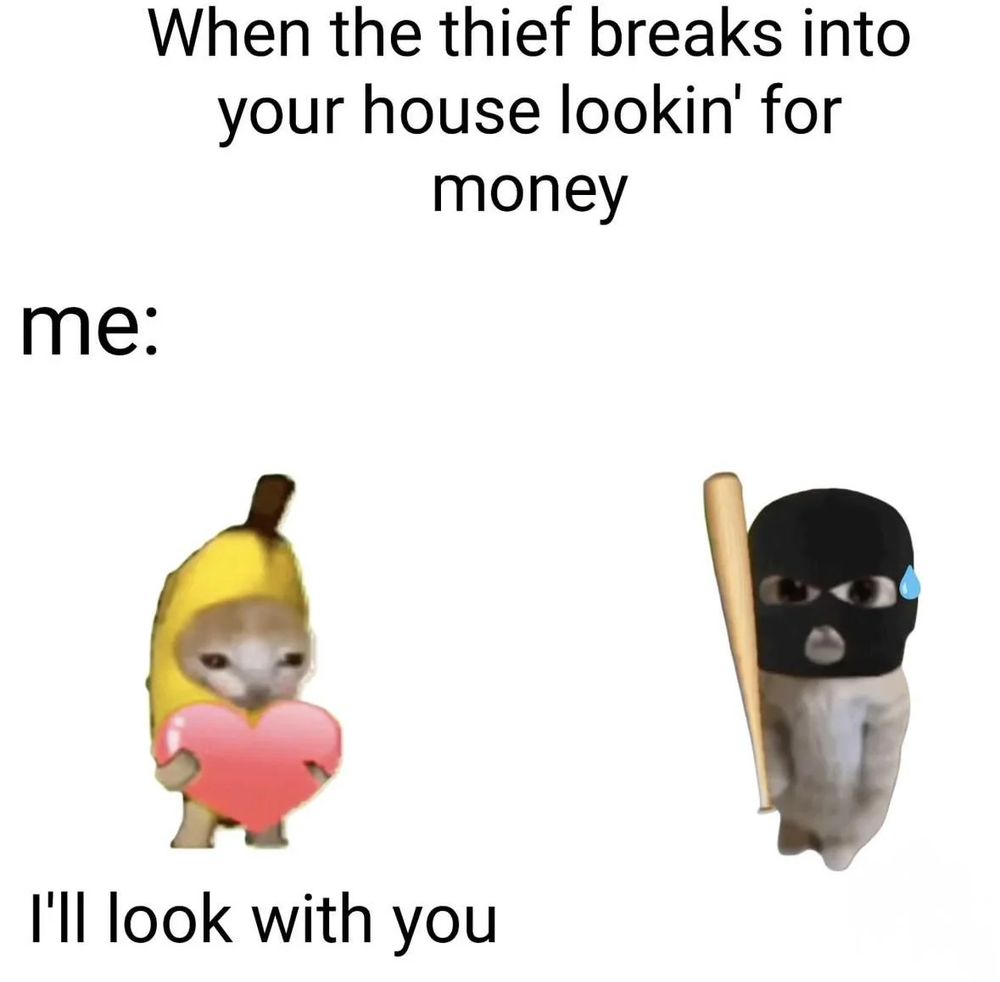I'm about someone breaking your house and someone being relatively broke to the point that they'll help look for money too in D&D meme  dnd pathfinder cat