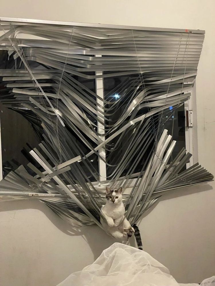 Cat sitting in ruin window blinds

Dnd