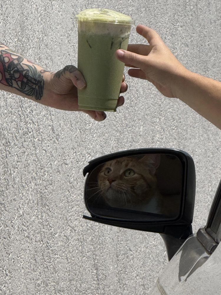 A cat in a car mirror reaching for a coffee with her human hand 