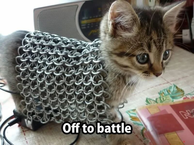 A kitten cat in chain mail saying off to battle

Dnd ttrpg