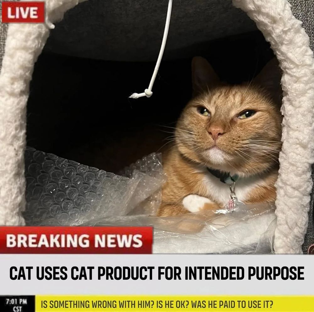 Dnd meme of "cat uses cat product for intended purpose" 