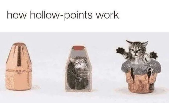 A joke about hollow points being a cat that pop up from a bullet casing