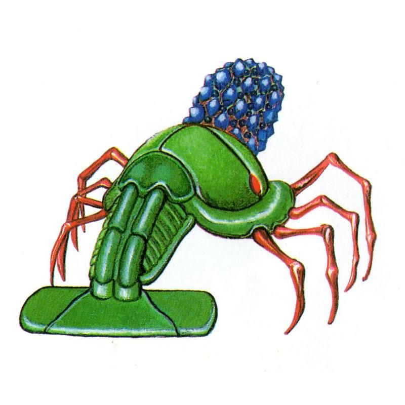 Vaccum Bug?
'Last Armageddon'
X68000