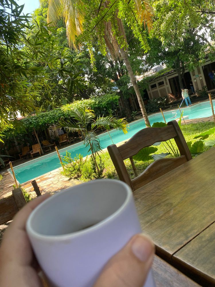 Café en avant plan piscine en arrière plan avec plein de nature autour.