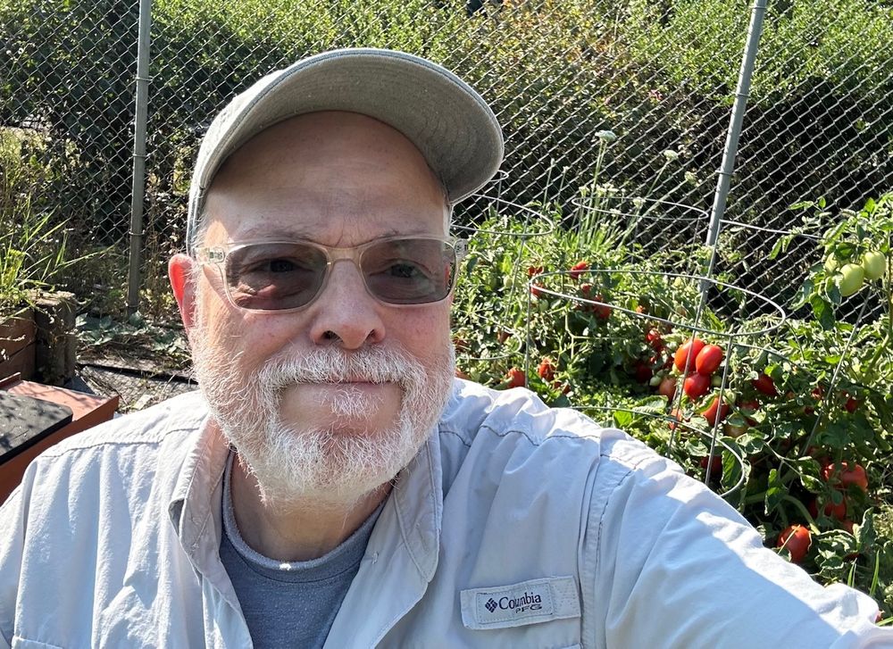 Me, in the garden about to pick tomatoes.