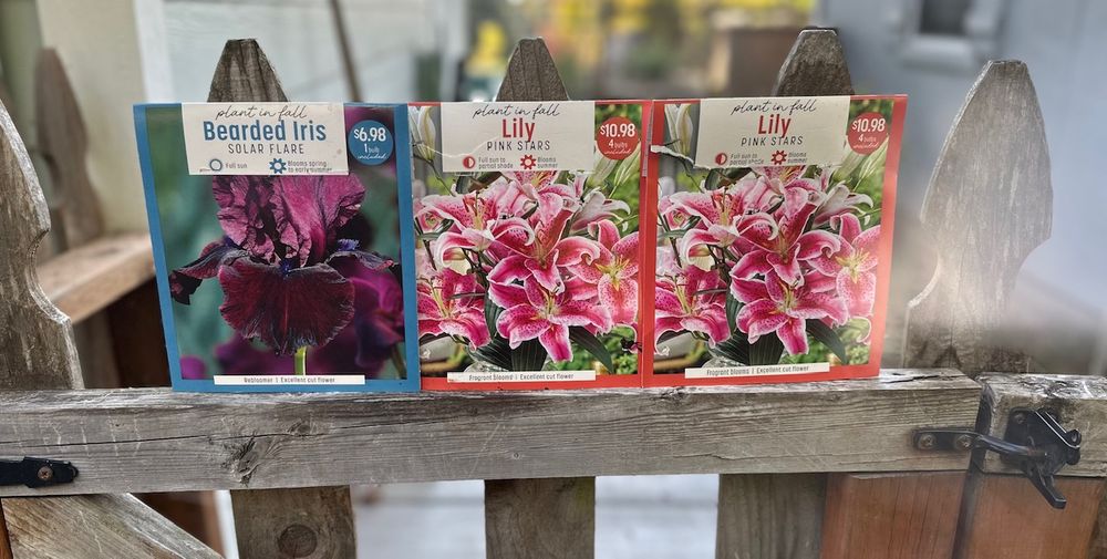 Colorful labels for iris rhizomes and tulip bulbs.