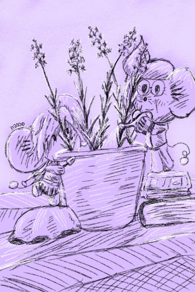 Clive and Arven tend to a lavender plant