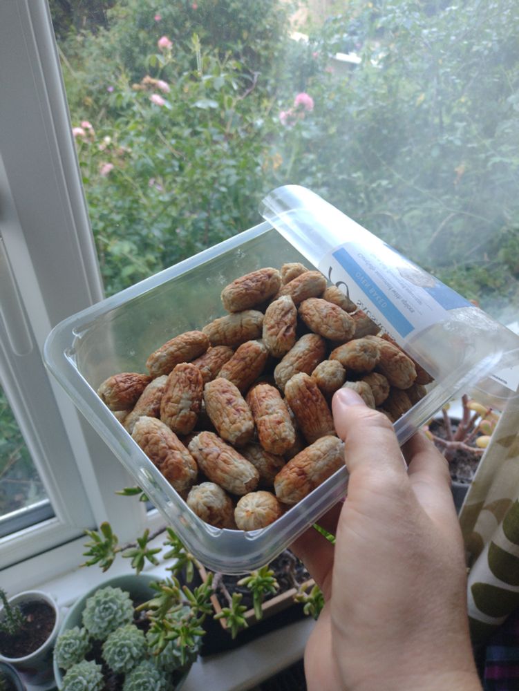 A photo of a pack of 70 cocktail sausages, held up in front of a neutral background.