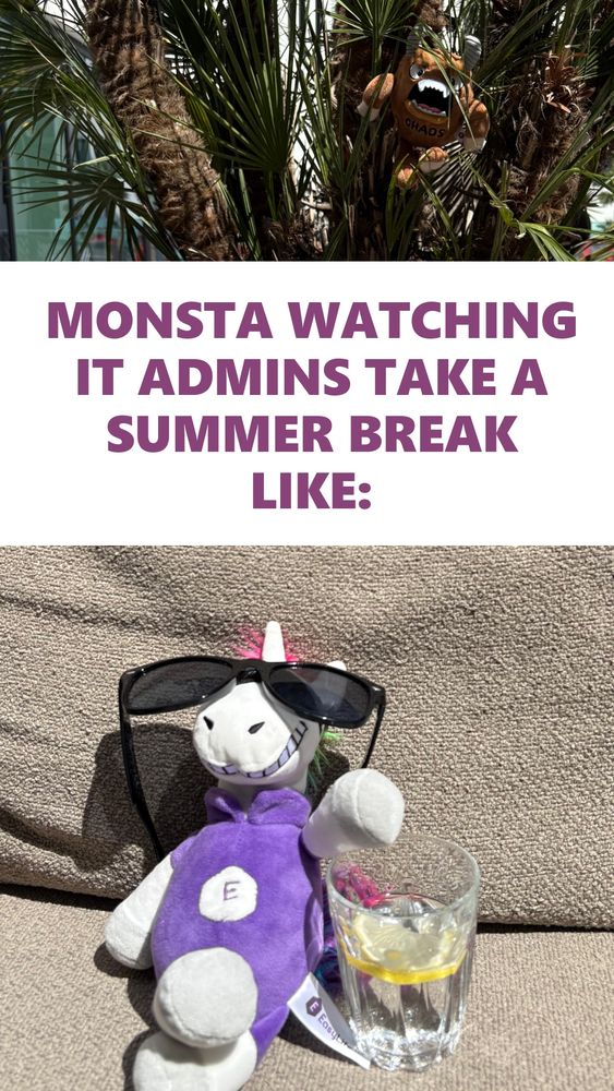 Monsta watching IT Admins take a summer break.
