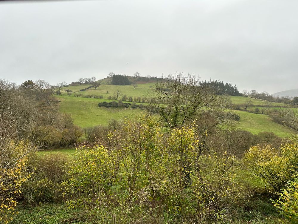 A steep hill in the background and trees in the foreground 