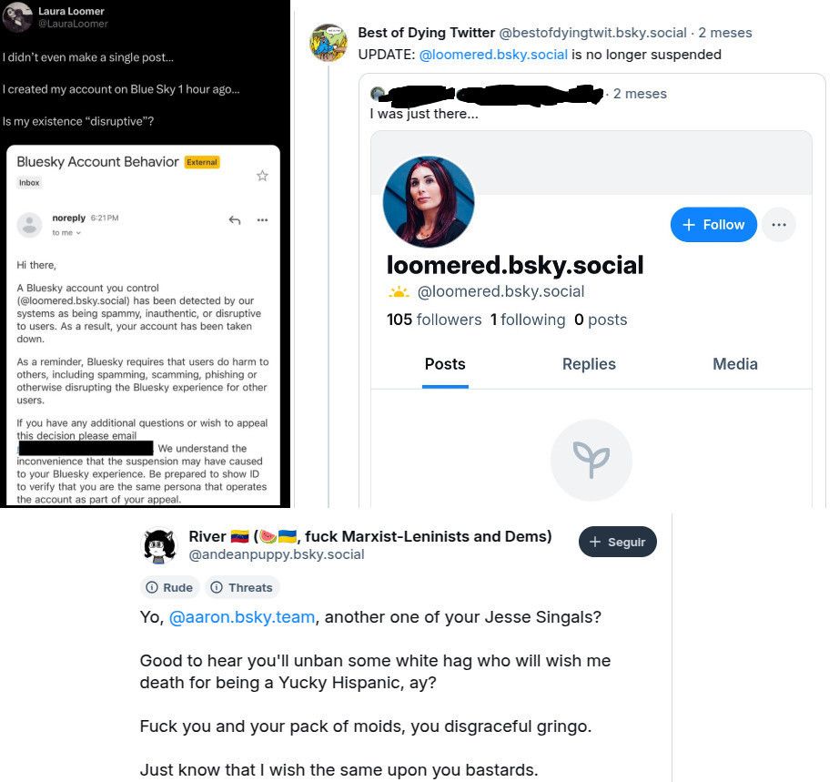 Bunch of screenshots.

1.) A screenshot of Laura Loomer whining on Twitter that she got banned on Bluesky.

2.) Best of Dying Twitter spreading word on @loomered.bsky.social getting unbanned.

3.) @andeanpuppy.bsky.social's retaliative skeet getting labeled as "Rude" and "Threats":
«Yo, @aaron.bsky.team, another one of your Jesse Singals?

Good to hear you'll unban some white hag who will wish me death for being a Yucky Hispanic, ay?

Fuck you and your pack of moids, you disgraceful gringo.

Just know that I wish the same upon you bastards.»
What do you think they want for me?