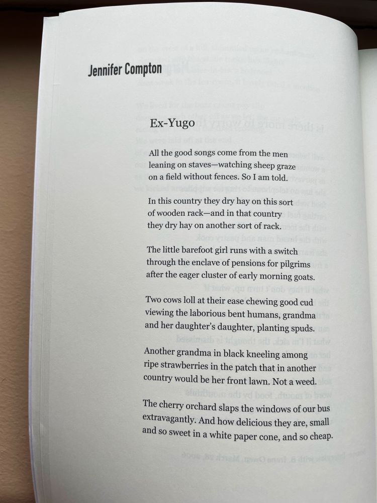 Jennifer Compton
Ex-Yugo

All the good songs come from the men 
leaning on staves-watching sheep graze 
on a field without fences. So I am told.

In this country they dry hay on this sort 
of wooden rack-and in that country 
they dry hay on another sort of rack.

The little barefoot girl runs with a switch 
through the enclave of pensions for pilgrims 
after the eager cluster of early morning goats.

Two cows loll at their ease chewing good cud 
viewing the laborious bent humans, grandma 
and her daughter's daughter, planting spuds.

Another grandma in black kneeling among 
ripe strawberries in the patch that in another 
country would be her front lawn. Not a weed.

The cherry orchard slaps the windows of our 
bus extravagantly. And how delicious they are, small 
and so sweet in a white paper cone, and so cheap.
