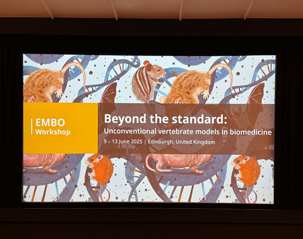 Screen with the conference poster