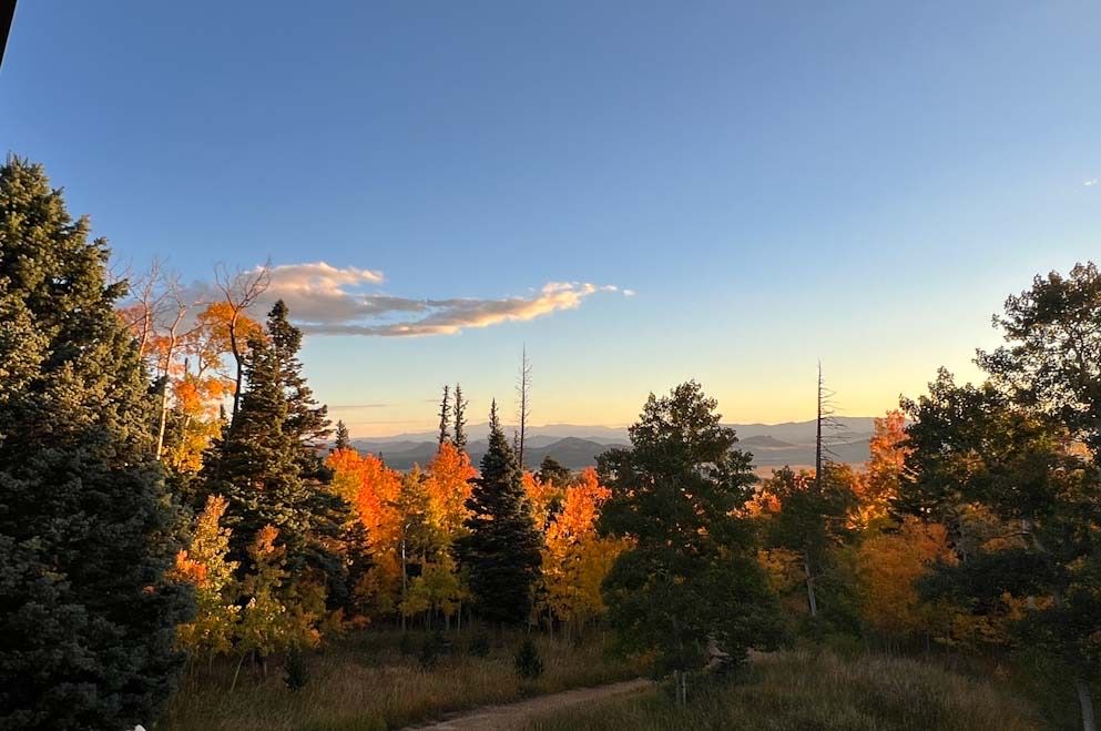 Sunrise scene shows red, gold, orange and yellow aspen interspersed with dark green firs aganist a cler blue sky with a few white clouds and smoky gray and blue mountains in the distance. Yes, it looks fake.