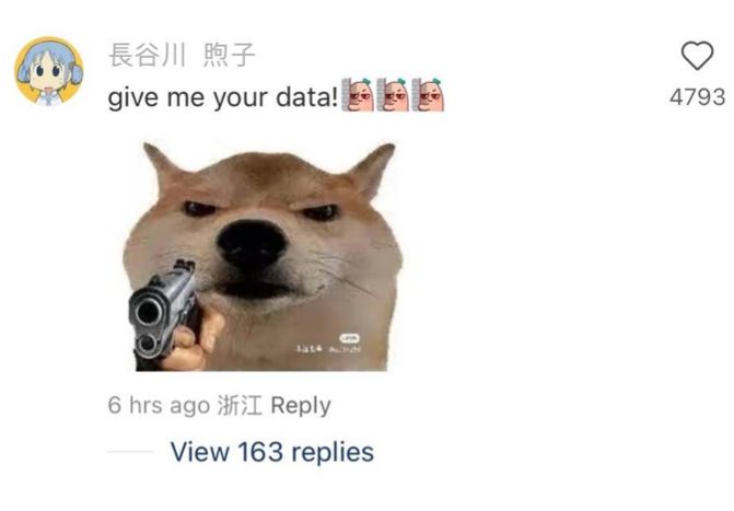 a rednote comment of a user posting a shiba ini pointing at gun at us saying “give me your data!”