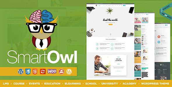SmartOWL – LMS Education WordPress Theme