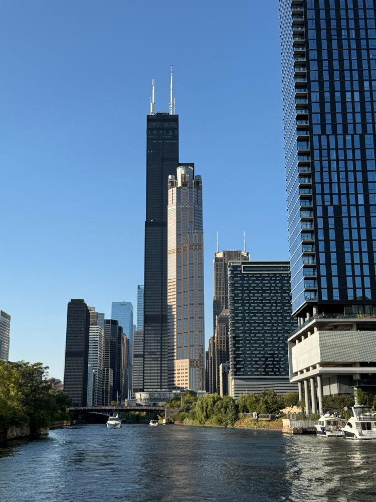 The Willis tower and other buildings from the River