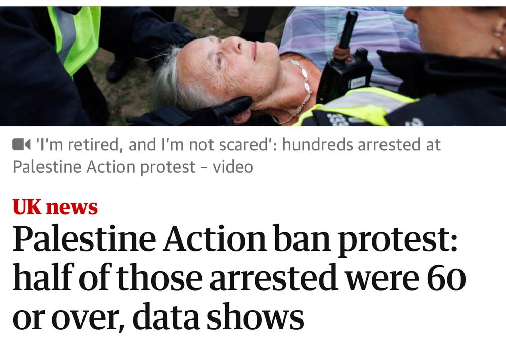 Palestine Action arrests 