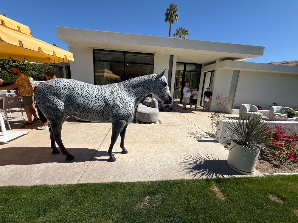 Palm Springs in winter