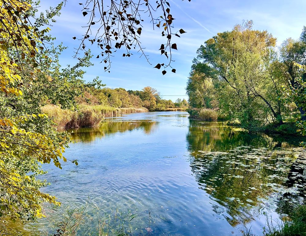 Bäume mit herbstlich gefärbten Blättern an einem Gewässer