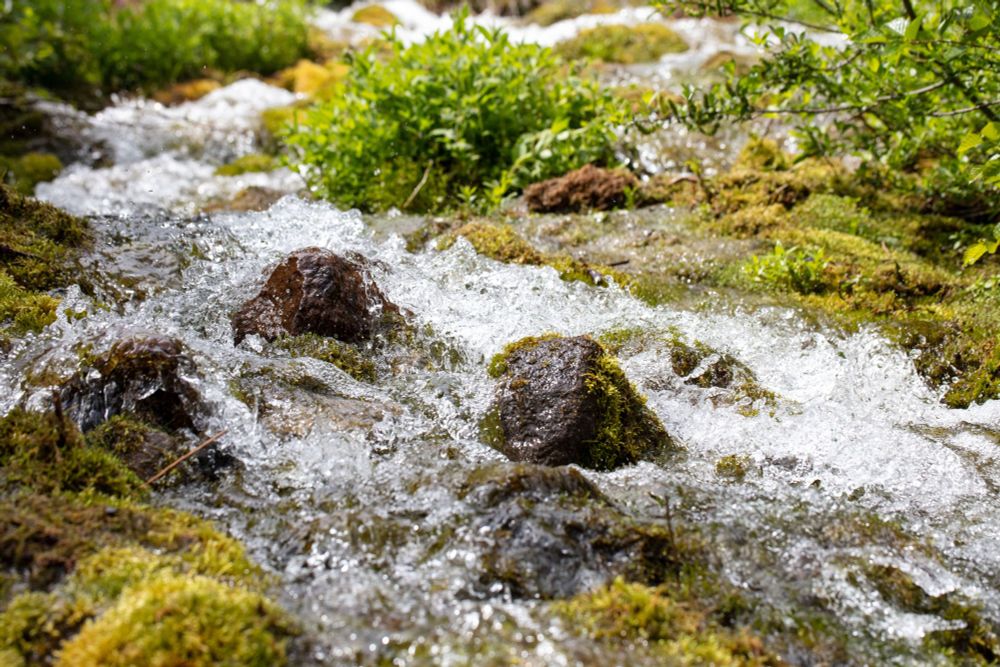 a small stream by a mountain trail. the rocks are mossy and the water looks almost frozen in time with a very short shutter. splishy splash!