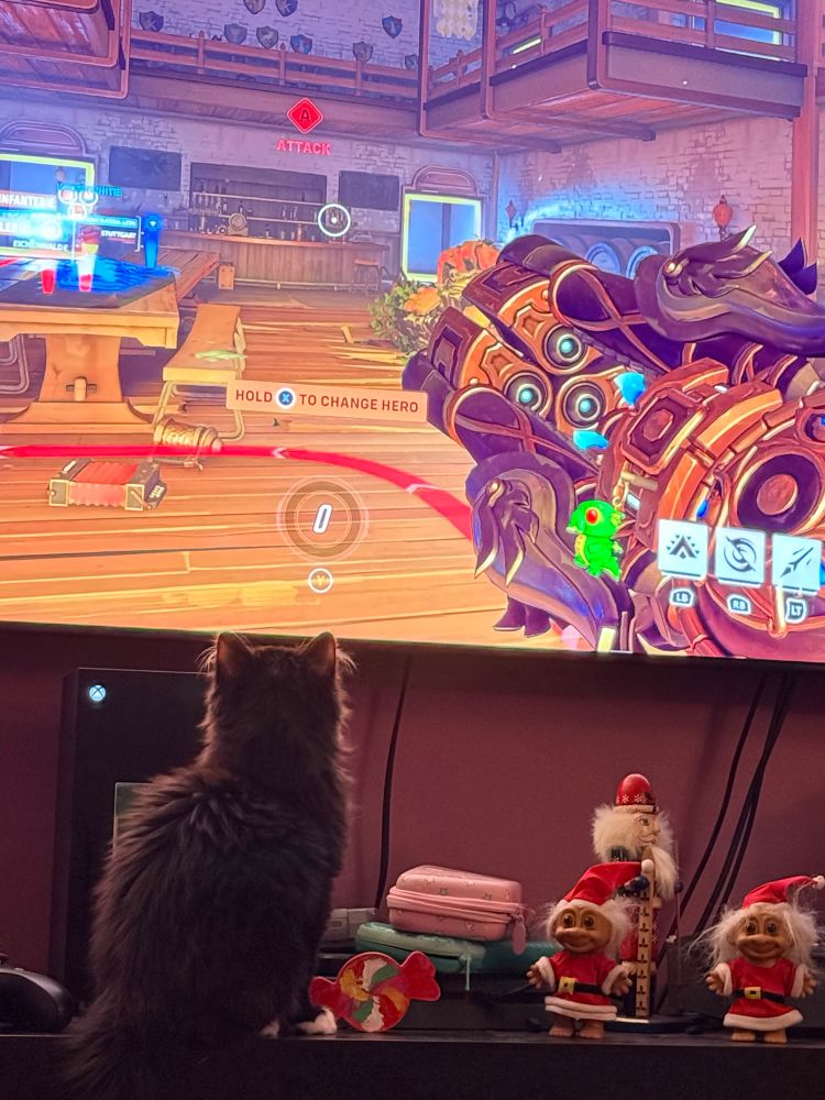 Little Black fluffy kitten watching me play Overwatch on the big screen.