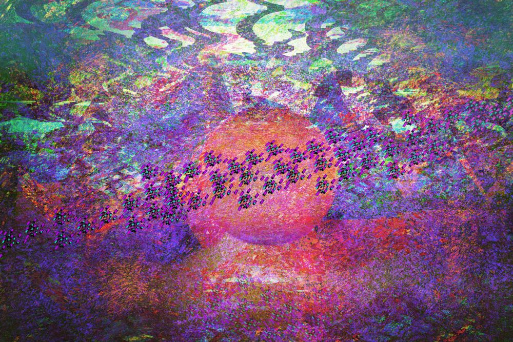 "Sunset Flock" - MOZONE