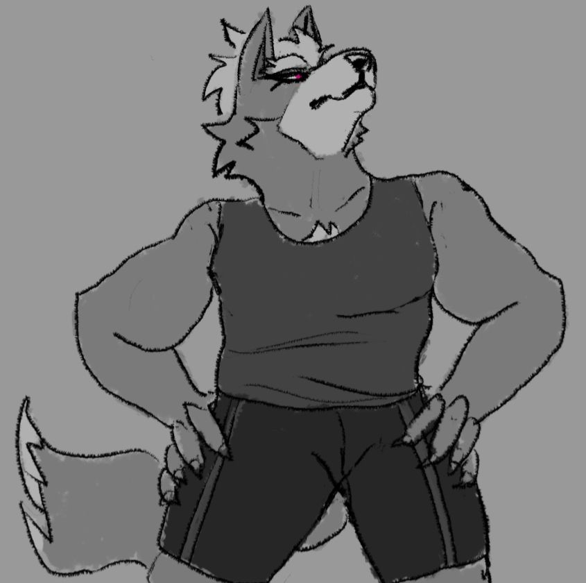 Wolf O'Donnell from Star Fox wearing athletic wear. He has his hands on his hips and looking up to the side. He is who has Isabelle all flustered.
