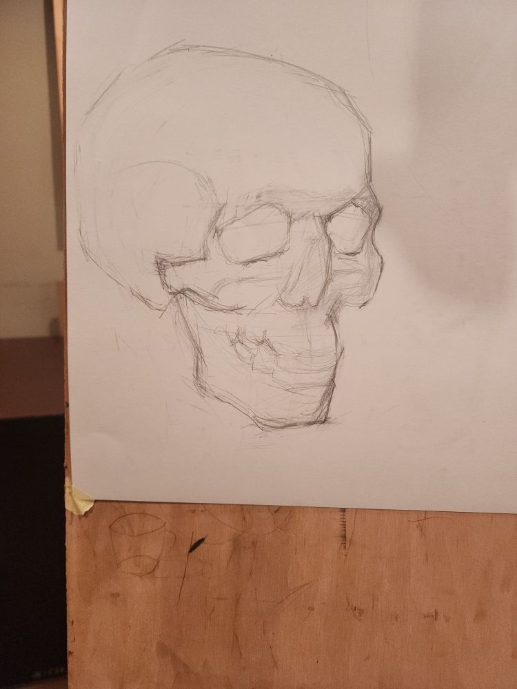 skull, graphite, sketch
