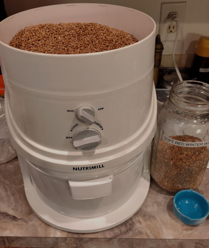 A white grain grinder on a kitchen counter. The hopper is half full of wheat berries and there is a quart canning jar half full of grain on the right.