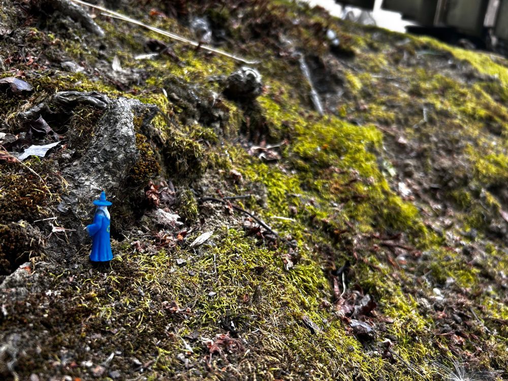 A wizard crosses the wastes.