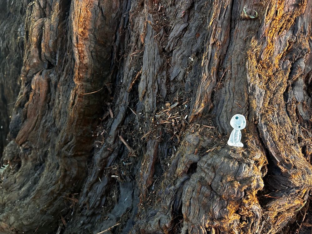 A little forest spirit appreciating their tree.