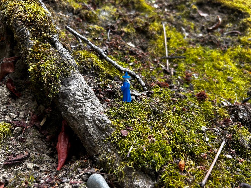 A wizard wanders willingly searching for prey to fund their research.