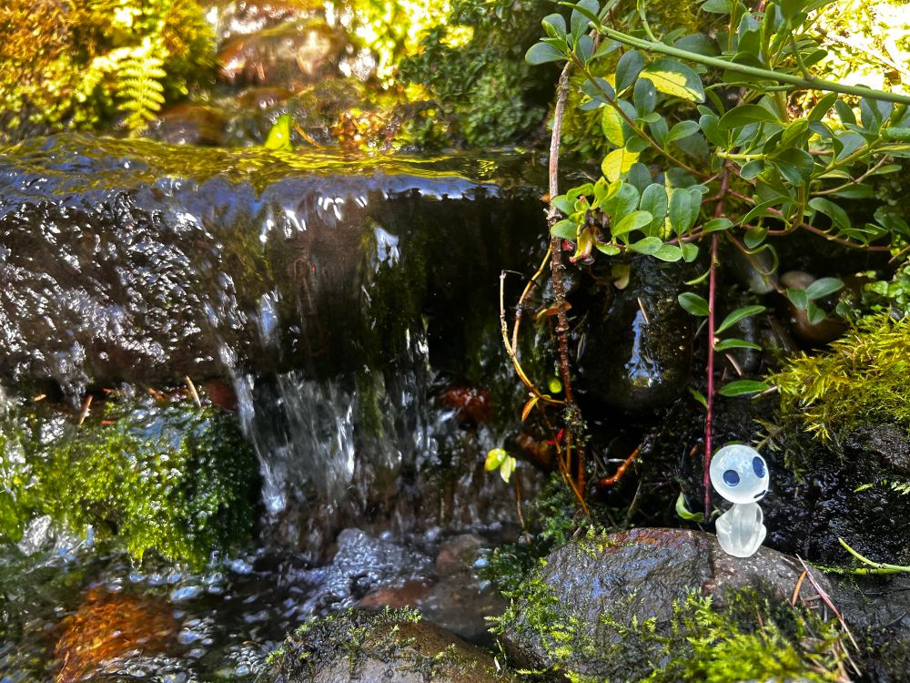 A little spirit sits near the water.