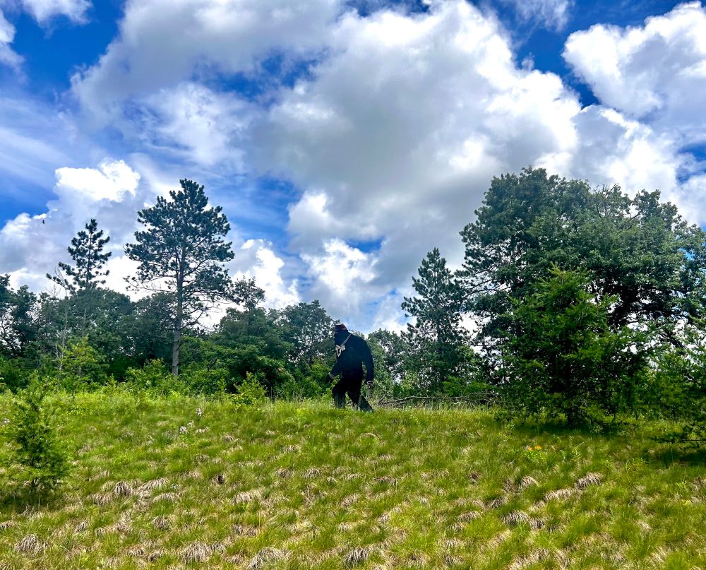 Bigfoot strolling through northern WI