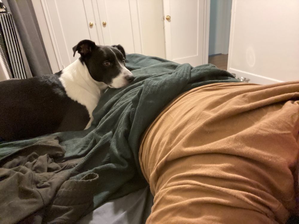 This one is my favorite idiot! And the absolute best creature! 