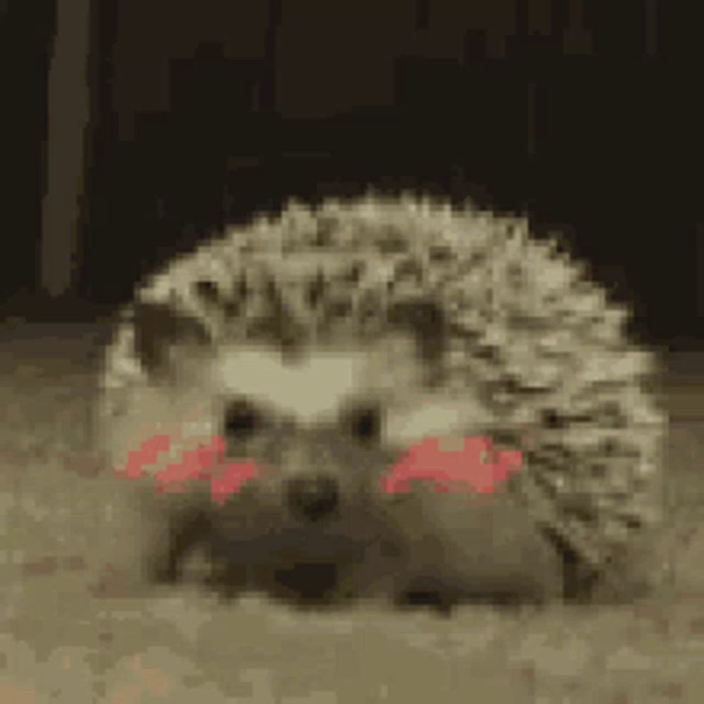 a hedgehog with a red lipstick on its lips