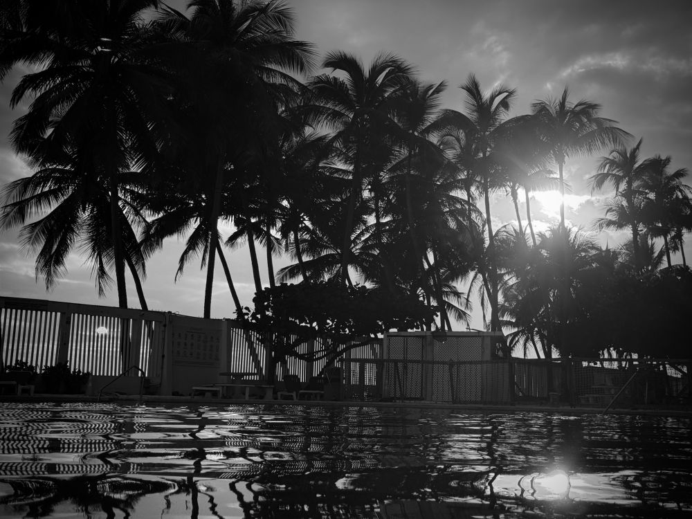 Calm Condado pool side in black and white, first thing in the morning.