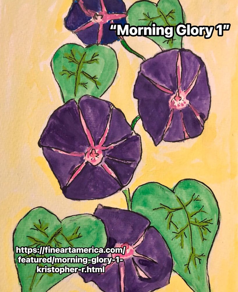 https://fineartamerica.com/featured/morning-glory-1-kristopher-r.html