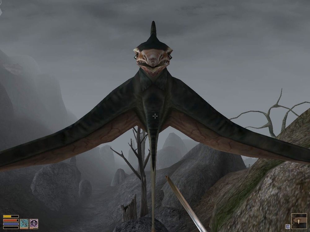 A cliff racer from Morrowind