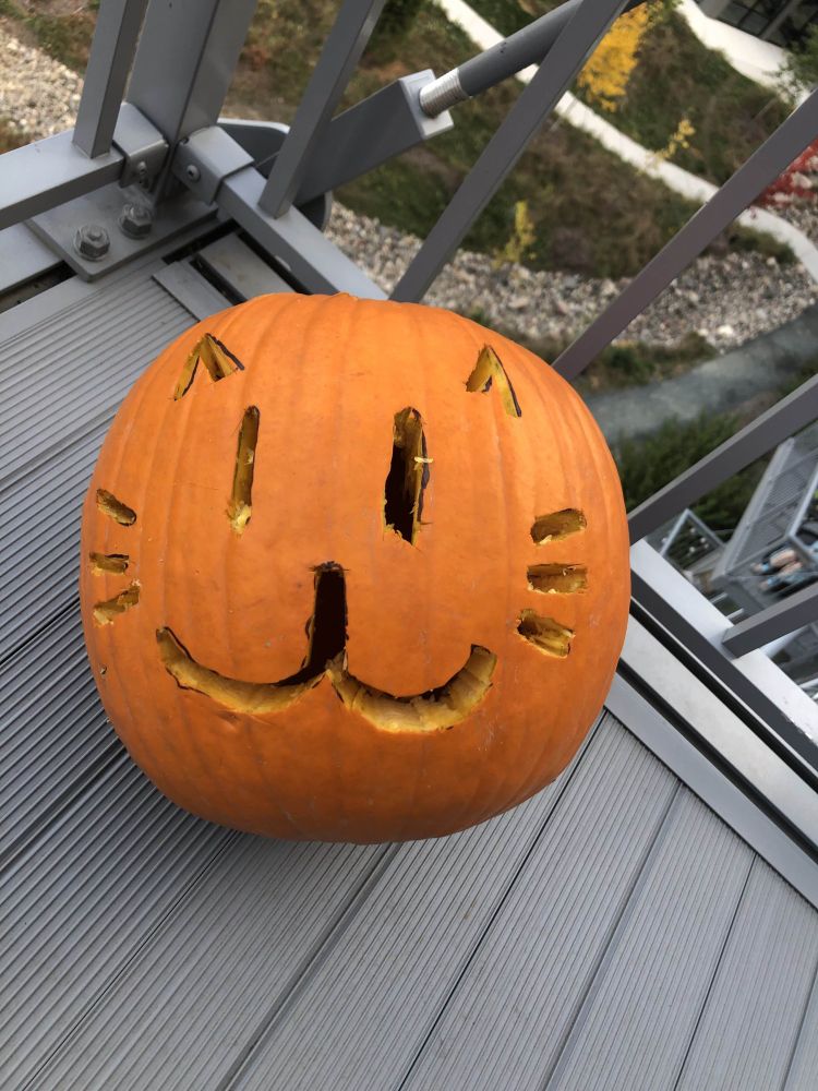 Pumpkin with a cat carved into it